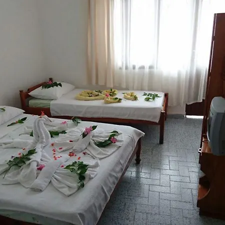 Проживание в семье Orman