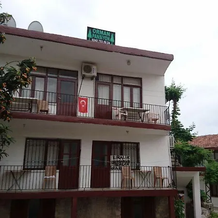 Homestay szállás Orman *