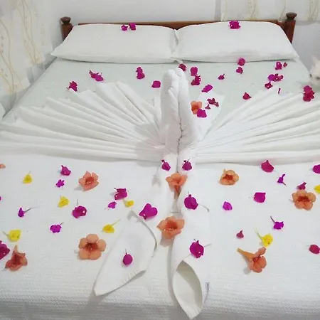 Orman Homestay szállás *